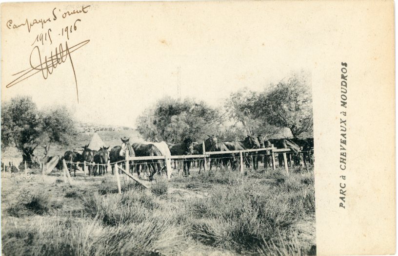 Greece Moudros Horse Paddock 1916