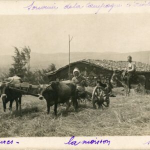 Greece Mavroplagia Harvest Turkish types 1916