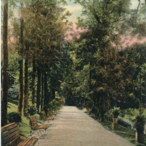 Hong Kong Botanical Gardens