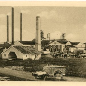 Cuba Havana Sugar Mill at Work