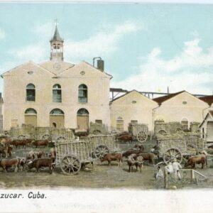 Cuba Sugar Mill 1904