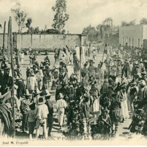 Mexico Festivals of the Natives 2