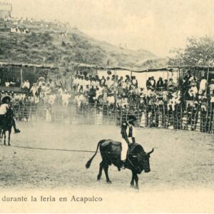 Mexico Acapulco Fair Bulls