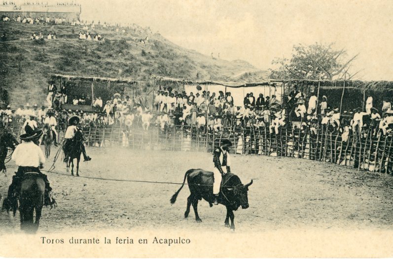 Mexico Acapulco Fair Bulls