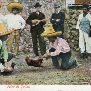 Mexico Cockfight