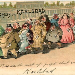 Czechia Karlsbad Karlovy Vary Spa humour postcard
