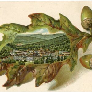 Czechia Mariánské Lázně Marienbad Embossed Acorn