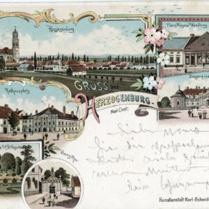 Austria 1899 Gruss aus Herzogenburg to Vienna