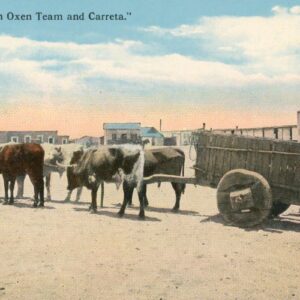 Mexico Oxen Team and Carreta