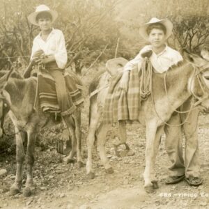 Mexico Boys and Donkeys types