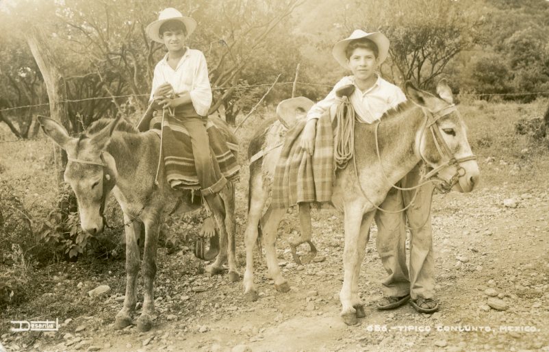 Mexico Boys and Donkeys types