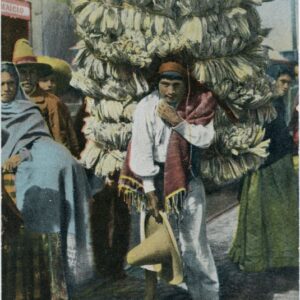 Mexico Indigenous Man carrying Corn Husks