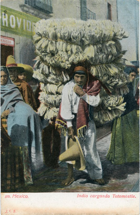 Mexico Indigenous Man carrying Corn Husks
