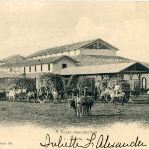 Cuba Sugar Manufactory 1903 to Russia