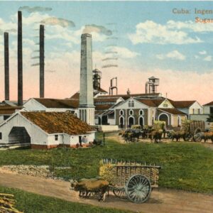 Cuba Sugar Mill 1920 to Den Haag