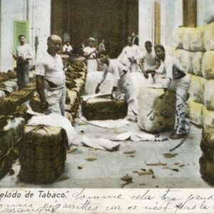 Cuba Tobacco Baling 1905 to Paris