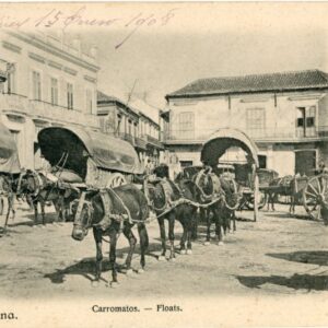 Cuba Carromatos Horse Wagons 1908