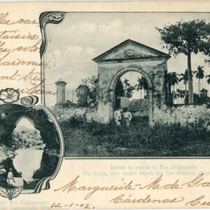 Cuba San Antonio River Ceiba Tree 1902 to Neuchatel