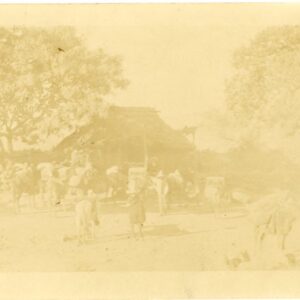 Cuba photocard 1913 Niquero to Switzerland