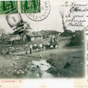 Cuba Landscape 1902 to Switzerland