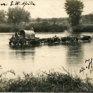 Namibia SWA Ox Wagon in Kunene River 1922 to Germany