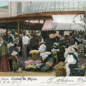 Mexico City Flower Market 1907 to Italy