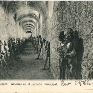 Mexico Guanajuato Mummies in Municipal Cemetery 1908 to Paris