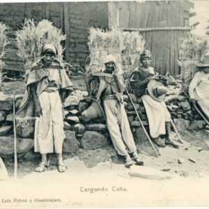 Mexico Carrying Canna Lilies 1905 to Bern