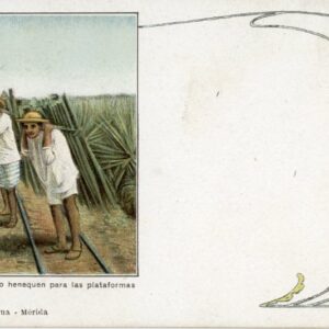 Mexico Indigenous People Carrying Henequen