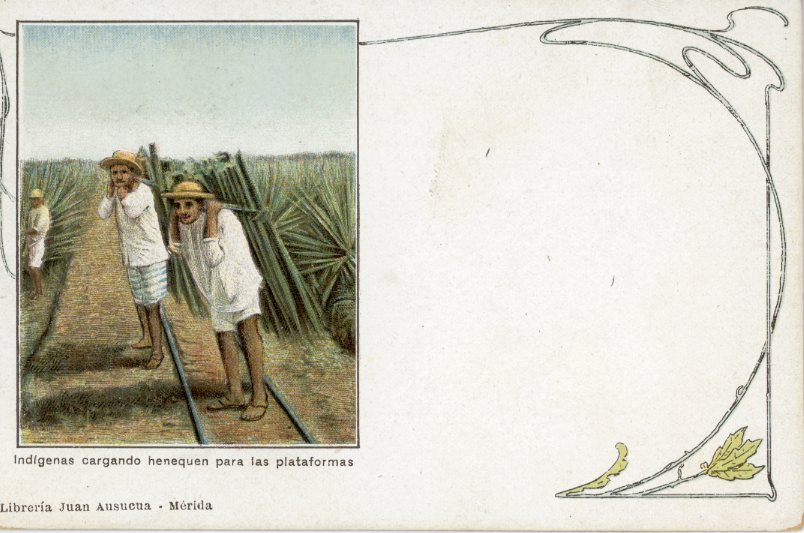 Mexico Indigenous People Carrying Henequen