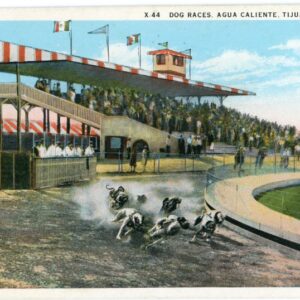 Mexico Tijuana Agua Caliente Greyhound Race