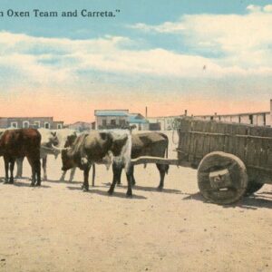 Mexico Oxen Team and Carreta