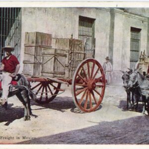 Mexico Carrying Cargo on Mule Carts