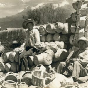Mexico Indigenous Baskets