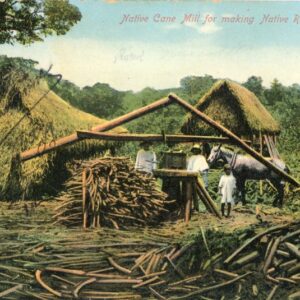 Panama Cane Mill for making Rum 1910 to Paris