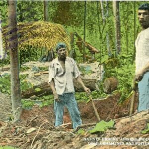 Panama Gravediggers for Gold and Pottery 1921 to Belgium