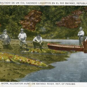 Panama Alligator Hunt on Bayano River