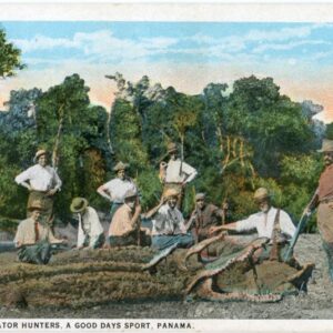 Panama Alligator Hunters
