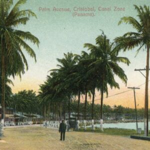 Panama Canal Cristobal Palm Avenue