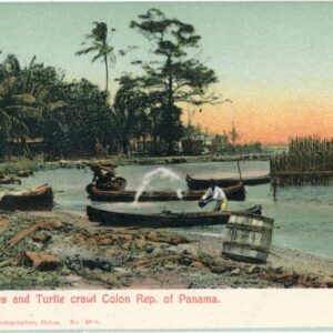Panama Native Canoes and Turtle crawl Colon