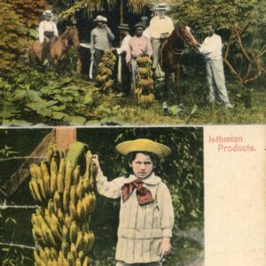 Panama Isthmian Products Banana Farm