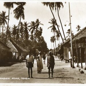 Tanzania Tanga Pangani Road