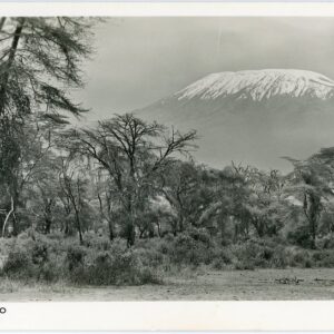 Tanzania Mount Kilimanjaro ed Firmin