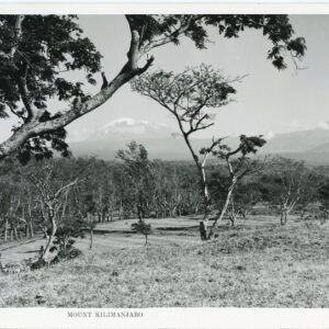 Tanzania East Africa Mount Kilimanjaro