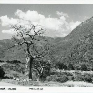 Tanzania Great Ruhaha Valley Tanganyika