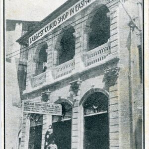 Tanzania Moloo Brothers Largest Curio Shop on East Africa