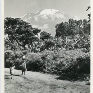 Tanzania East Africa Mount Kilimanjaro