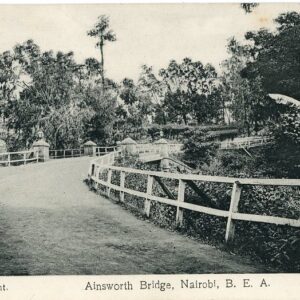 Kenya Nairobi Ainsworth Bridge