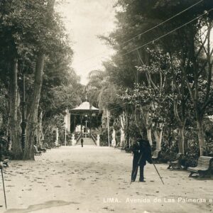 Peru Lima Las Palmeras Avenue at Exhibition