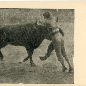 Peru Matador Bullfight